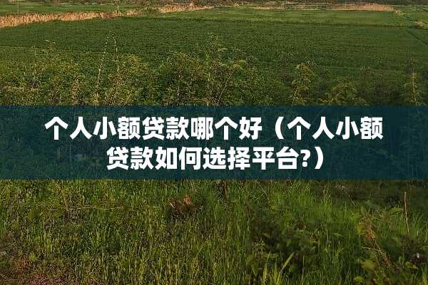 个人小额贷款哪个好（个人小额贷款如何选择平台?）