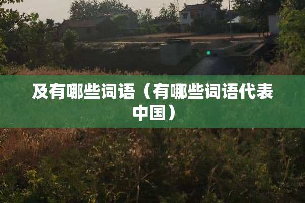 及有哪些词语（有哪些词语代表中国）