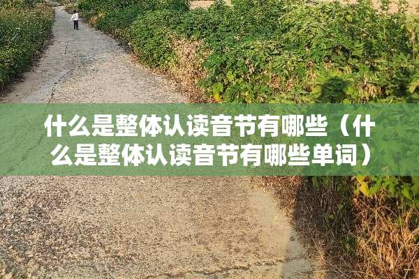 什么是整体认读音节有哪些（什么是整体认读音节有哪些单词）