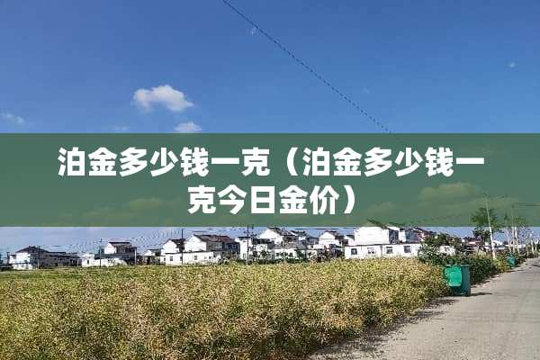 泊金多少钱一克（泊金多少钱一克今日金价）