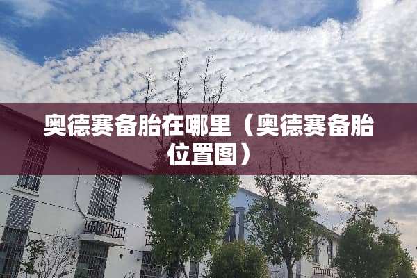 奥德赛备胎在哪里（奥德赛备胎位置图）