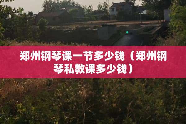 郑州钢琴课一节多少钱（郑州钢琴私教课多少钱）