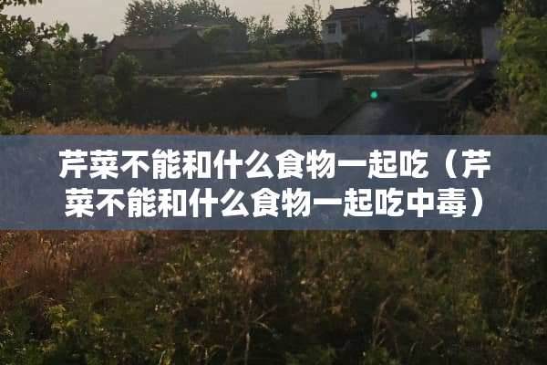 芹菜不能和什么食物一起吃（芹菜不能和什么食物一起吃中毒）