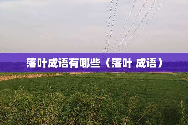 落叶成语有哪些（落叶 成语）