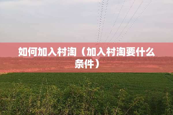 如何加入村淘（加入村淘要什么条件）