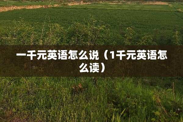 一千元英语怎么说（1千元英语怎么读）