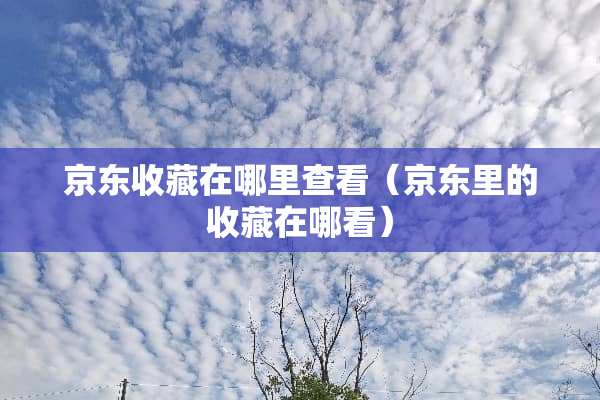 京东收藏在哪里查看（京东里的收藏在哪看）