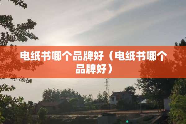 电纸书哪个品牌好（电纸书哪个品牌好）