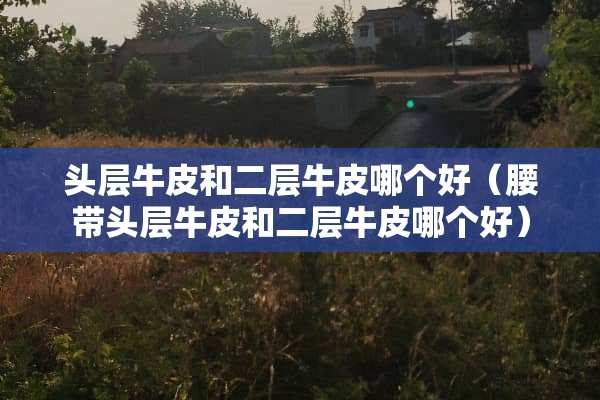 头层牛皮和二层牛皮哪个好（腰带头层牛皮和二层牛皮哪个好）