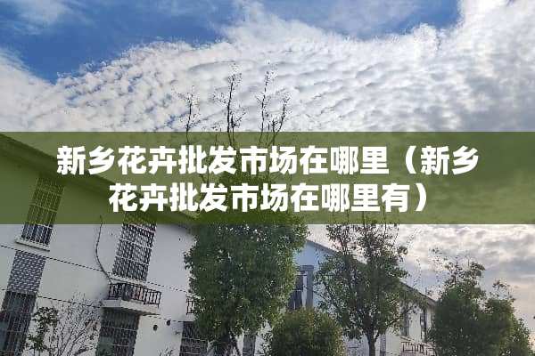 新乡花卉批发市场在哪里（新乡花卉批发市场在哪里有）