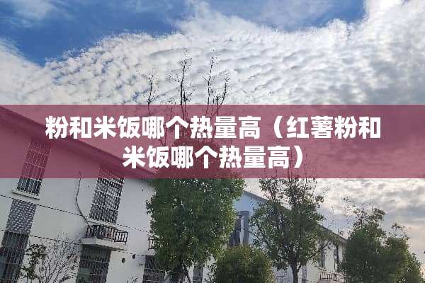 粉和米饭哪个热量高（红薯粉和米饭哪个热量高）