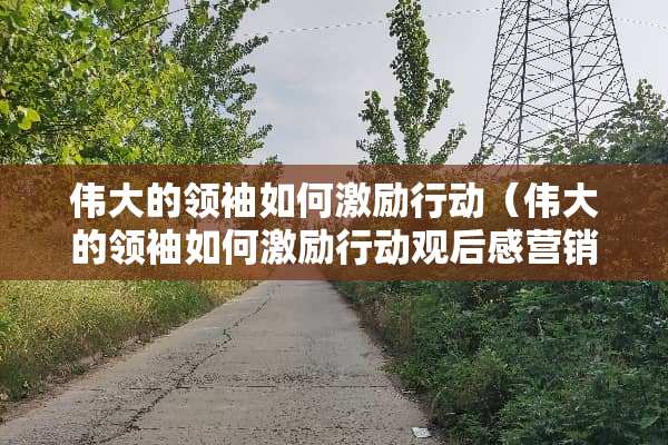 伟大的领袖如何激励行动（伟大的领袖如何激励行动观后感营销）