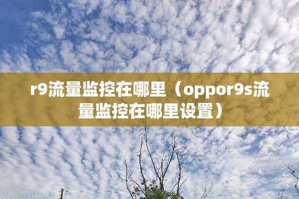 r9流量监控在哪里（oppor9s流量监控在哪里设置）