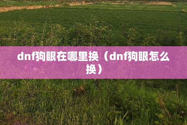 dnf狗眼在哪里换（dnf狗眼怎么换）