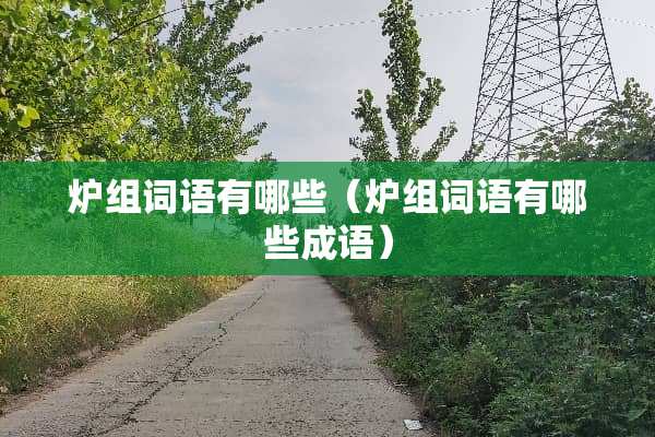 炉组词语有哪些（炉组词语有哪些成语）