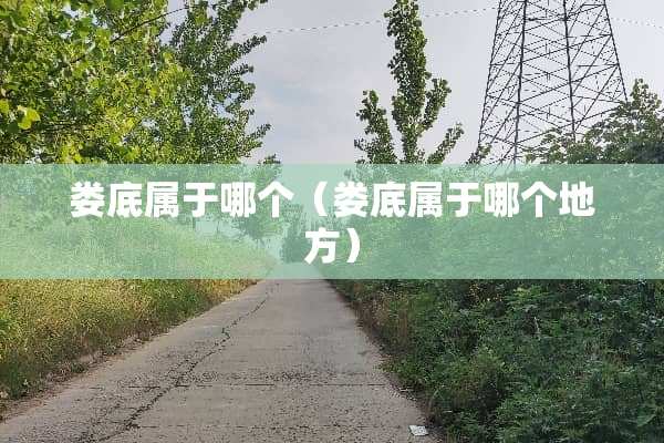娄底属于哪个（娄底属于哪个地方）