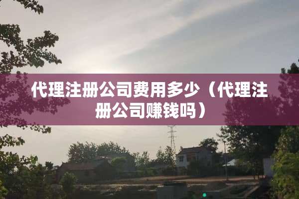 代理注册公司费用多少（代理注册公司赚钱吗）