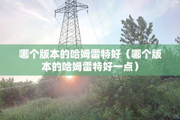 哪个版本的哈姆雷特好（哪个版本的哈姆雷特好一点）