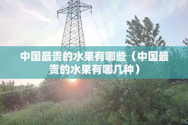 中国最贵的水果有哪些（中国最贵的水果有哪几种）