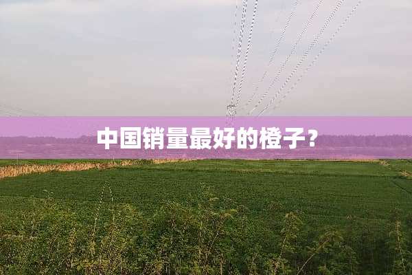 中国销量最好的橙子？