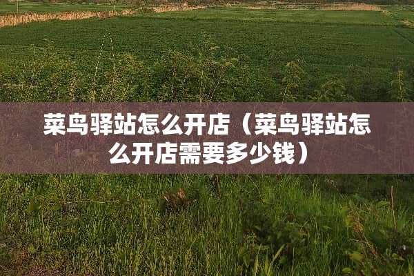 菜鸟驿站怎么开店（菜鸟驿站怎么开店需要多少钱）