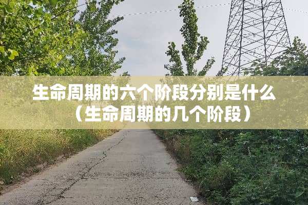 生命周期的六个阶段分别是什么（生命周期的几个阶段）