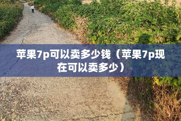 苹果7p可以卖多少钱（苹果7p现在可以卖多少）