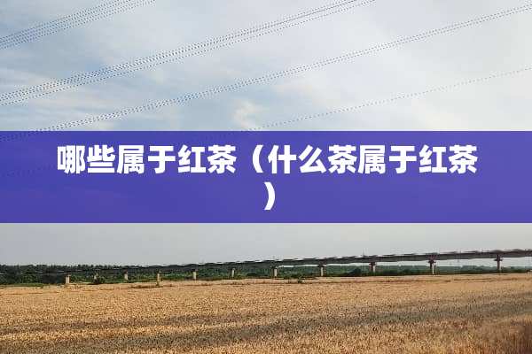 哪些属于红茶（什么茶属于红茶）