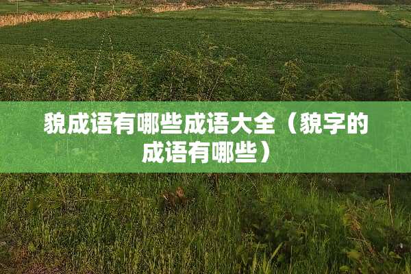 貌成语有哪些成语大全（貌字的成语有哪些）