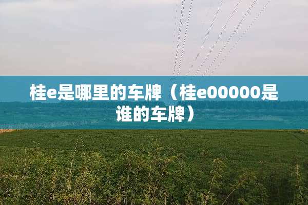 桂e是哪里的车牌（桂e00000是谁的车牌）