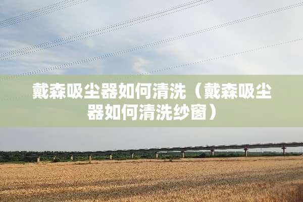 戴森吸尘器如何清洗（戴森吸尘器如何清洗纱窗）
