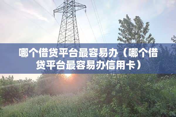 哪个借贷平台最容易办（哪个借贷平台最容易办***）