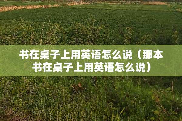 书在桌子上用英语怎么说（那本书在桌子上用英语怎么说）