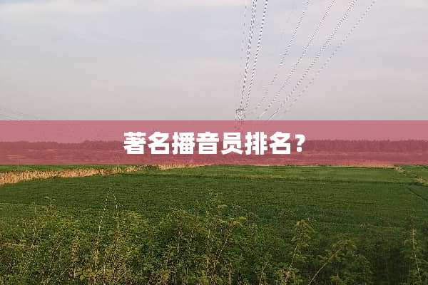 著名播音员排名？