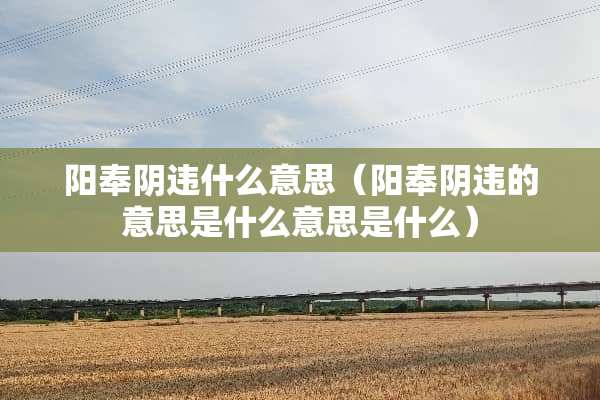 阳奉*违什么意思（阳奉*违的意思是什么意思是什么）