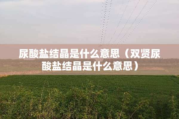 尿酸盐结晶是什么意思（双贤尿酸盐结晶是什么意思）