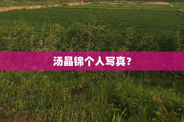 汤晶锦个人**？