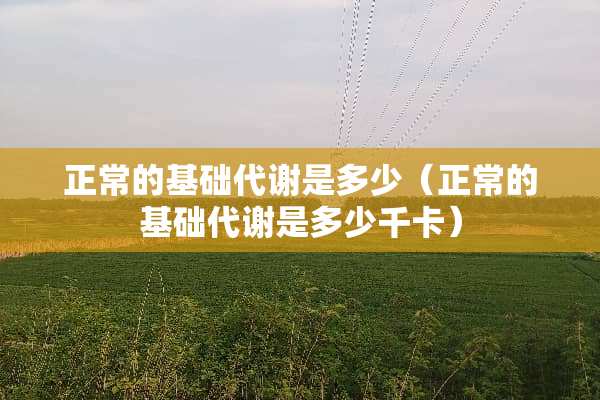 正常的基础代谢是多少（正常的基础代谢是多少千卡）