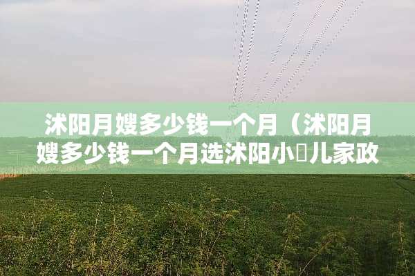 沭阳月嫂多少钱一个月（沭阳月嫂多少钱一个月选沭阳小犇儿家政服务中心）