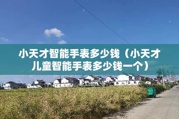 小天才智能手表多少钱（小天才儿童智能手表多少钱一个）