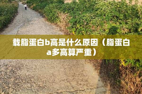 载脂蛋白b高是什么原因（脂蛋白a多高算严重）