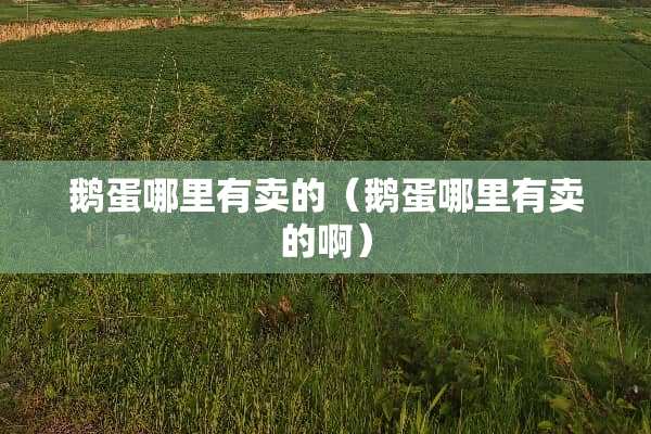 鹅蛋哪里有卖的（鹅蛋哪里有卖的啊）
