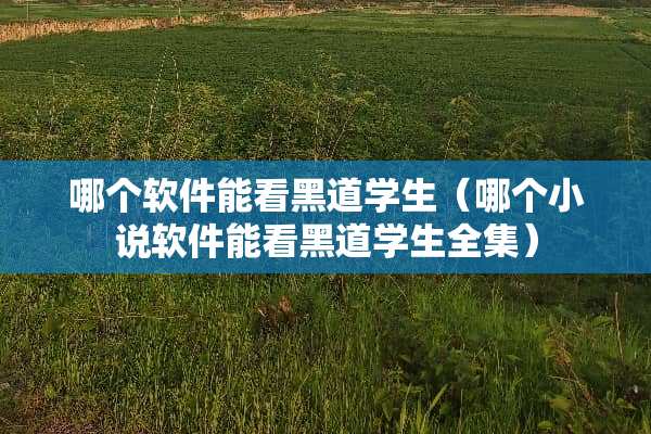 哪个软件能看黑道学生（哪个小说软件能看黑道学生全集）