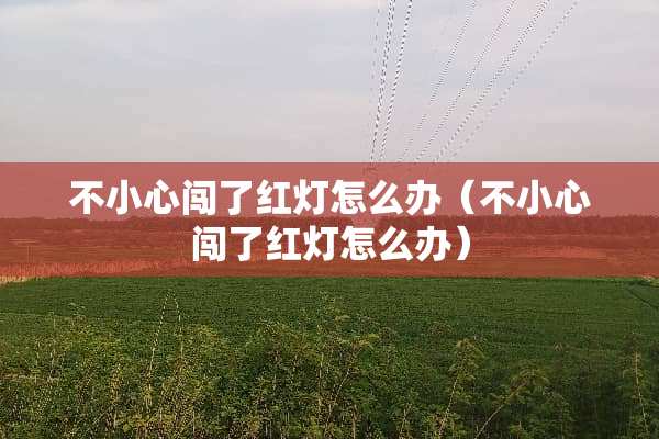 不小心闯了红灯怎么办（不小心闯了红灯怎么办）