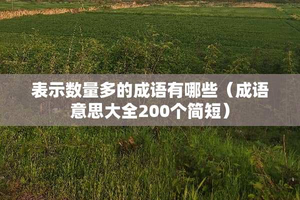 表示数量多的成语有哪些（成语意思大全200个简短）