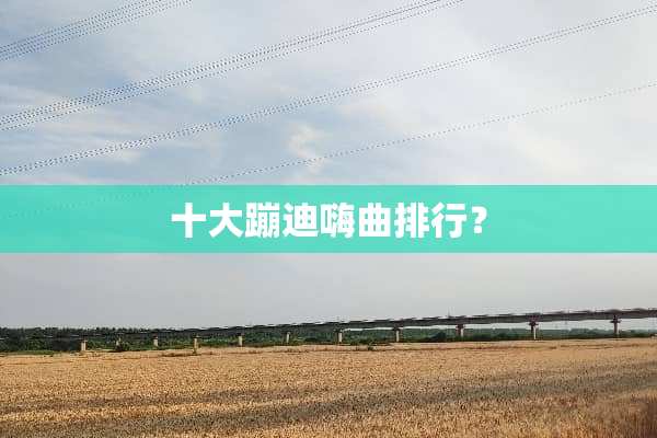 十大蹦迪嗨曲排行？