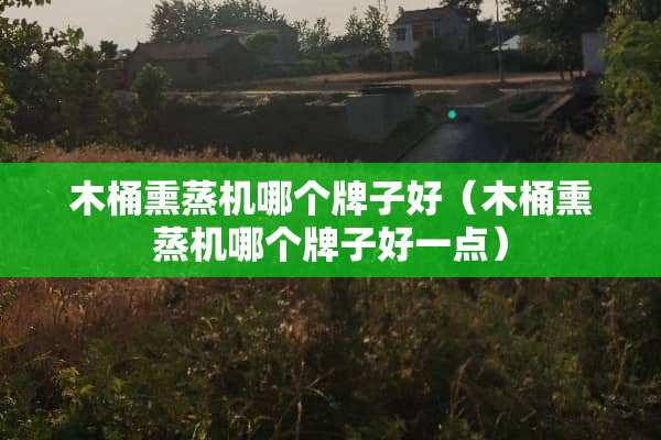 木桶熏蒸机哪个牌子好（木桶熏蒸机哪个牌子好一点）