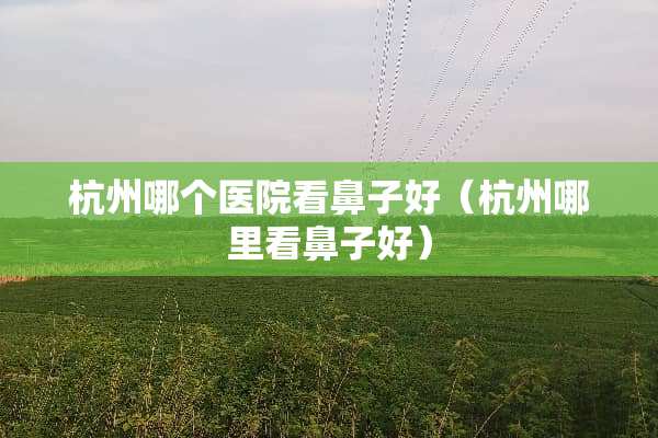 杭州哪个医院看鼻子好（杭州哪里看鼻子好）