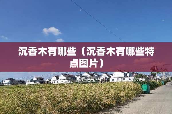 沉香木有哪些（沉香木有哪些特点图片）