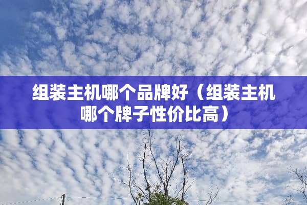 组装主机哪个品牌好（组装主机哪个牌子性价比高）